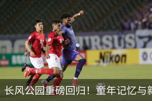 长风公园重磅回归！童年记忆与新奇玩法齐聚